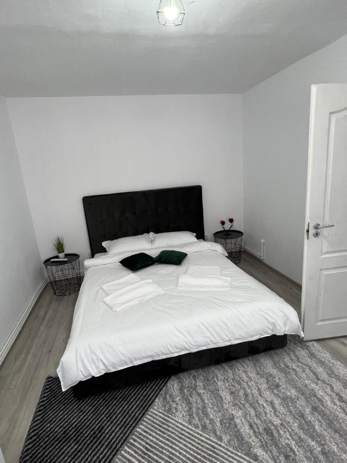 Blue Alpin Straja Appartement Vulcan  Buitenkant foto