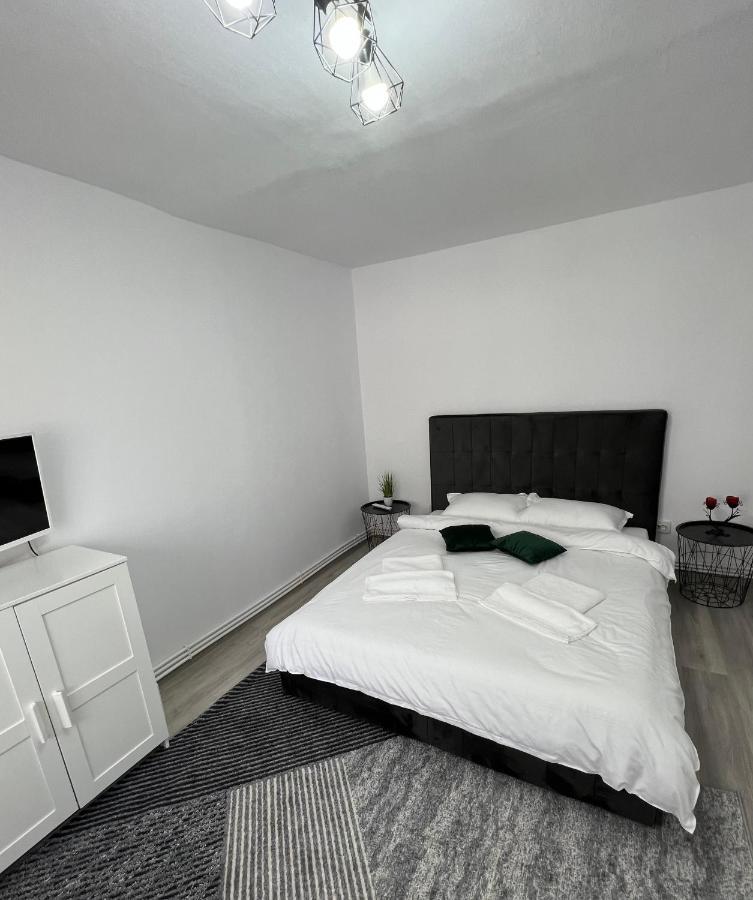 Blue Alpin Straja Appartement Vulcan  Buitenkant foto